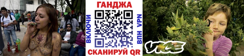Магазины продажи наркотиков Новоржев Псилоцибиновые грибы  СК  ГАШИШ  Меф  ЭКСТАЗИ  Конопля  Cocaine 