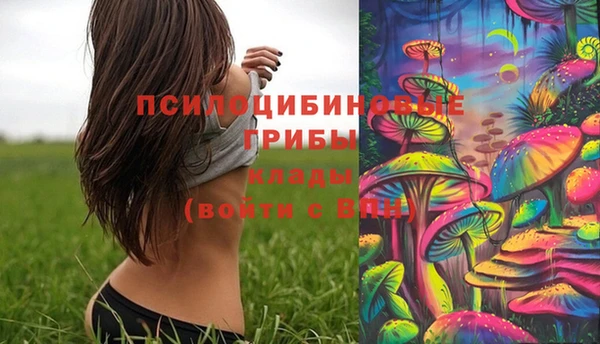 мяу мяу мука Волоколамск